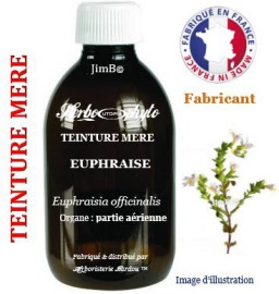 Teinture mère - Euphraise (euphrasia officinalis) partie aérienne - flacon 250 ml - Herbo-phyto - Herboristerie Bardou™ 