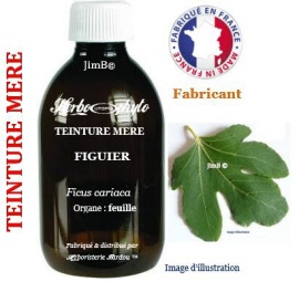 Teinture mère - Figuier (ficus cariaca) feuille - flacon 250 ml - Herbo-phyto - Herboristerie Bardou™ 