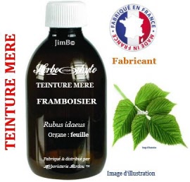 Teinture mère - Framboisier (rubus idaeus) feuille - flacon 500 ml - Herbo-phyto - Herboristerie Bardou™ 