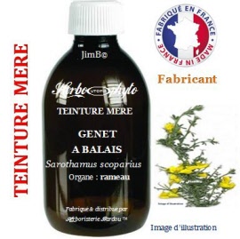 Teinture mère - Genêt à balai (sarothamnus scoparius) rameau - flacon 125 ml - Herbo-phyto - Herboristerie Bardou™ 