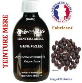 Teinture mère - Génévrier (juniperus communis) baie - flacon 60 ml - Herbo-phyto - Herboristerie Bardou™ 