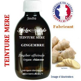 Teinture mère - Gingembre (zingiber officinale) racine - flacon 1 litre- Herbo-phyto - Herboristerie Bardou™ 