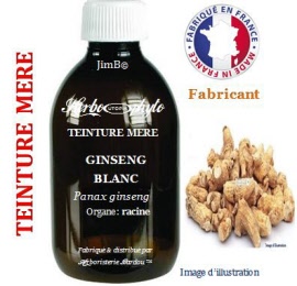Teinture mère - Ginseng blanc (panax ginseng) racine - flacon 250 ml - Herbo-phyto - Herboristerie Bardou™ 