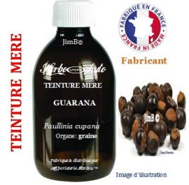 Teinture mère - Guarana (paullinia cupana) semence - flacon 500 ml - Herbo-phyto - Herboristerie Bardou™ 