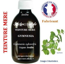 Teinture mère - Gymnesia (gymnema sylvestris) feuille - flacon 125 ml - Herbo-phyto - Herboristerie Bardou™ 