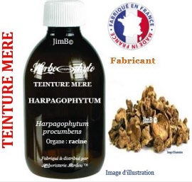 Teinture mère - Harpagophytum (harpagophytum procumbens) racine - flacon 60 ml - Herbo-phyto - Herboristerie Bardou™ 
