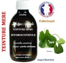 Teinture mère - Hydrocotyle (centella asiatica) partie aérienne - flacon 500 ml - Herbo-phyto - Herboristerie Bardou™ 