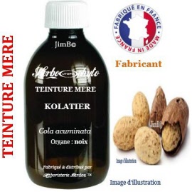 Teinture mère - Kolatier (cola acuminata) noix - flacon 60 ml - Herbo-phyto - Herboristerie Bardou™ 