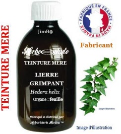 Teinture mère - Lierre grimpant (hedera helix) feuille - flacon 500 ml - Herbo-phyto - Herboristerie Bardou™ 