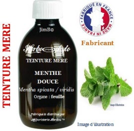 Teinture mère - Menthe douce (mentha spicata/viridis) feuille - flacon 1 litre - Herbo-phyto - Herboristerie Bardou™ 