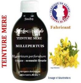 Teinture mère - Millepertuis (hypericum perforatum) sommité fleurie - flacon 500 ml - Herbo-phyto - Herboristerie Bardou™ 
