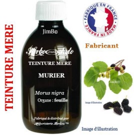 Teinture mère - Murier (morus nigra) feuille - flacon 125 ml - Herbo-phyto - Herboristerie Bardou™ 