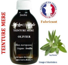 Teinture mère - livier (olea europaea) feuille - flacon 500 ml - Herbo-phyto - Herboristerie Bardou™ 