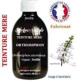 Teinture mère - Orthosiphon (orthosiphon stamineus) feuille - flacon 1 litre - Herbo-phyto - Herboristerie Bardou™ 