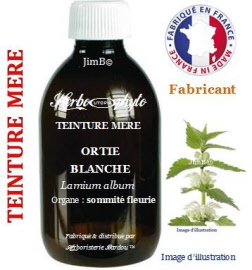 Teinture mère - Ortie blanche (lamium album) sommité fleurie - flacon 60 ml - Herbo-phyto - Herboristerie Bardou™ 