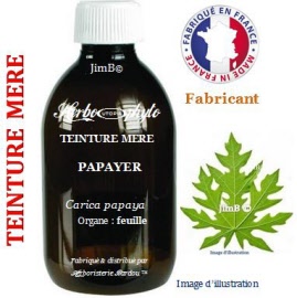 Teinture mère - Papayer (carica papaya) feuille - flacon 250 ml - Herbo-phyto - Herboristerie Bardou™ 