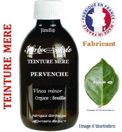 Teinture mère - Pervenche (vinca minor) feuille - flacon 1 litre,- Herbo-phyto - Herboristerie Bardou™ 