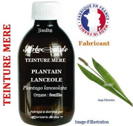 Teinture mère - Plantain lancéolé (plantago lanceolata) feuille - flacon 125 ml - Herbo-phyto - Herboristerie Bardou™ 