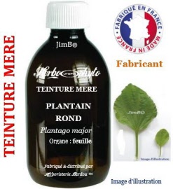 Teinture mère - Plantain rond (plantago major) feuille - flacon 60 ml - Herbo-phyto - Herboristerie Bardou™ 