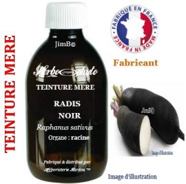 Teinture mère - Radis noir (raphanus sativus var. niger) racine - flacon 250 ml - Herbo-phyto - Herboristerie Bardou™