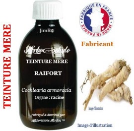 Teinture mère - Raifort (cochlearia armoracia) racine - flacon 125 ml - Herbo-phyto - Herboristerie Bardou™ 