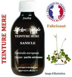 Teinture mère - Sanicle (sanicula europaea) partie aérienne - flacon 500 ml - Herbo-phyto - Herboristerie Bardou™ 