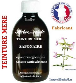 Teinture mère - Saponaire (saponaria officinalis) partie aérienne - flacon 250 ml - Herbo-phyto - Herboristerie Bardou™ 