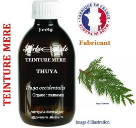 Teinture mère - Thuya (thuja occidentalis) rameau - flacon 250 ml - Herbo-phyto - Herboristerie Bardou™ 