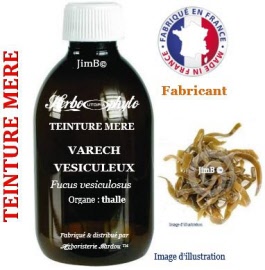 Teinture mère - Varech vésiculeux (fucus vesiculosus) thalle - flacon 250 ml - Herbo-phyto - Herboristerie Bardou™ 