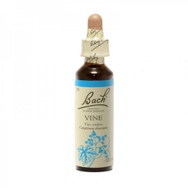 Fleur de bach - Vine (vitis vinifera)(vigne) - flacon 20 ml - Bach original® - Herboristerie Bardou™