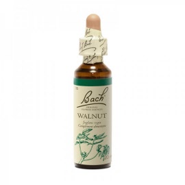 Fleur de bach - Walnut (juglans regia)(noyer) - flacon 20 ml - Bach original® - Herboristerie Bardou™