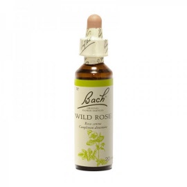 Fleur de bach - Wild rose (rosa canina)(eglantier) - flacon 20 ml - Bach original® - Herboristerie Bardou™