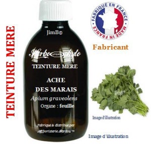 Teintures mères - Ache des marais (apium graveolens) - Herbo-phyto - Herboristerie Bardou™ 