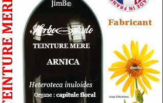 Teintures mères - Arnica (heteroteca inuloides) - Herbo-phyto - Herboristerie Bardou™ 