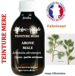 Teinture mère - Aurône mâle (artemisia abrotanum) - Herbo-phyto - Herboristerie Bardou™ 