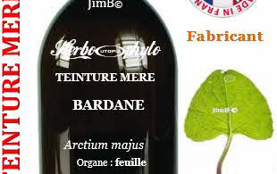 Teinture mère - Bardane grande (arctium majus) - Herbo-phyto - Herboristerie Bardou™ 