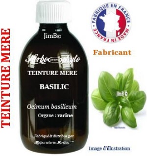 Teinture mère - Basilic (ocimum basilicum) - Herbo-phyto - Herboristerie Bardou™ 