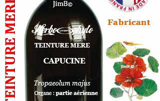 Teinture mère - Capucine (tropaeolum majus) - Herbo-phyto - Herboristerie Bardou™ 