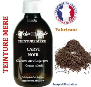 Teinture mère - Carvi noir (carum carvi nigrum) - Herbo-phyto - Herboristerie Bardou™ 
