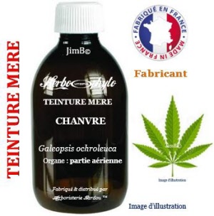 Teinture mère - Chanvre (galeopsis ochroleuca) - Herbo-phyto - Herboristerie Bardou™ 