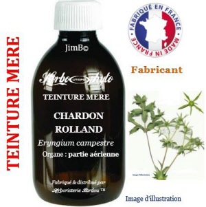 Teinture mère - Chardon rolland (eryngium campestre) - Herbo-phyto - Herboristerie Bardou™ 