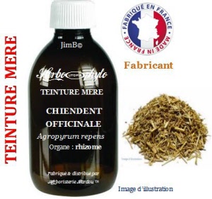 Teinture mère - Chiendent officinal (agropyrum repens) - Herbo-phyto - Herboristerie Bardou™