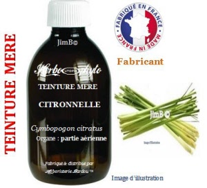 Teinture mère - Citronnelle (cymbopogon citratus) - Herbo-phyto - Herboristerie Bardou™ 