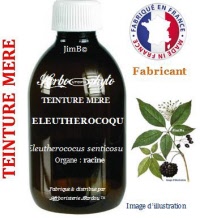Teinture mère - Eleuthérocoque (eleutherococus senticosus) - Herbo-phyto - Herboristerie Bardou™ 