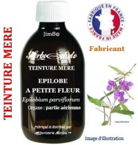 Teinture mère - Epilobe à petite fleur (epilobium parviflorum) - Herbo-phyto - Herboristerie Bardou™ 