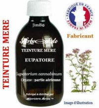 Teinture mère - Eupatoire (eupatorium cannabinum) - Herbo-phyto - Herboristerie Bardou™ 
