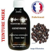 Teinture mère - Génévrier (juniperus communis) - Herbo-phyto - Herboristerie Bardou™ 