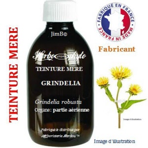 Teinture mère - Grindelia (grindelia robusta) - Herbo-phyto - Herboristerie Bardou™ 