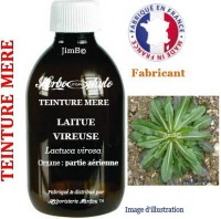 Teinture mère - Laitue vireuse (lactuca virosa) - Herbo-phyto - Herboristerie Bardou™ 