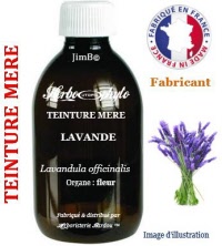 Teinture mère - Lavande (lavandula officinalis) - Herbo-phyto - Herboristerie Bardou™ 